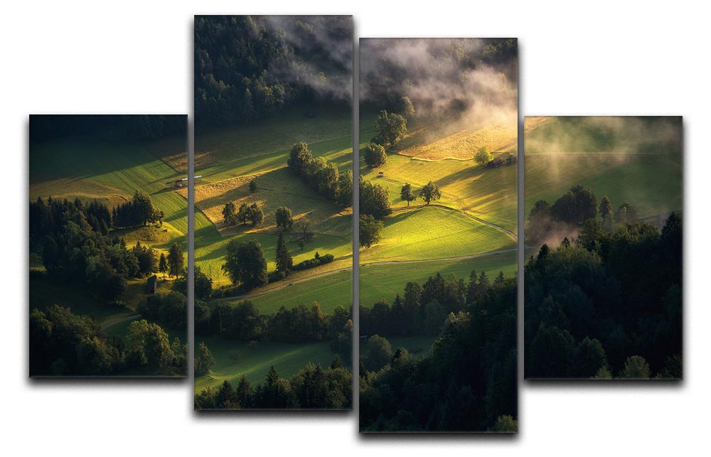 Light And Shadow 4 Split Panel Canvas artwork featuring four equal sections creating a cohesive and dynamic design.