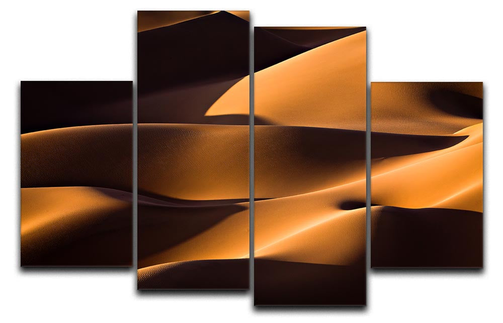 Light And Shadow 4 Split Panel Canvas artwork featuring four equal sections creating a cohesive and dynamic design.