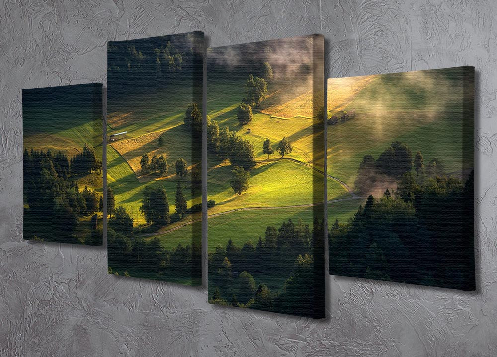 Light And Shadow 4 Split Panel Canvas artwork featuring four equal sections creating a cohesive and dynamic design.
