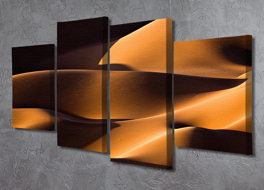 Light And Shadow 4 Split Panel Canvas artwork featuring four equal sections creating a cohesive and dynamic design.