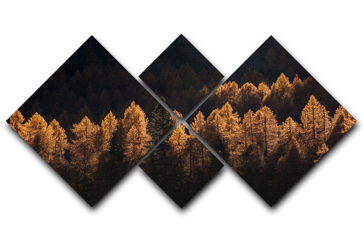 Light For A Few 4 Square Multi Panel Canvas artwork featuring four equal square sections, creating a cohesive and striking design.