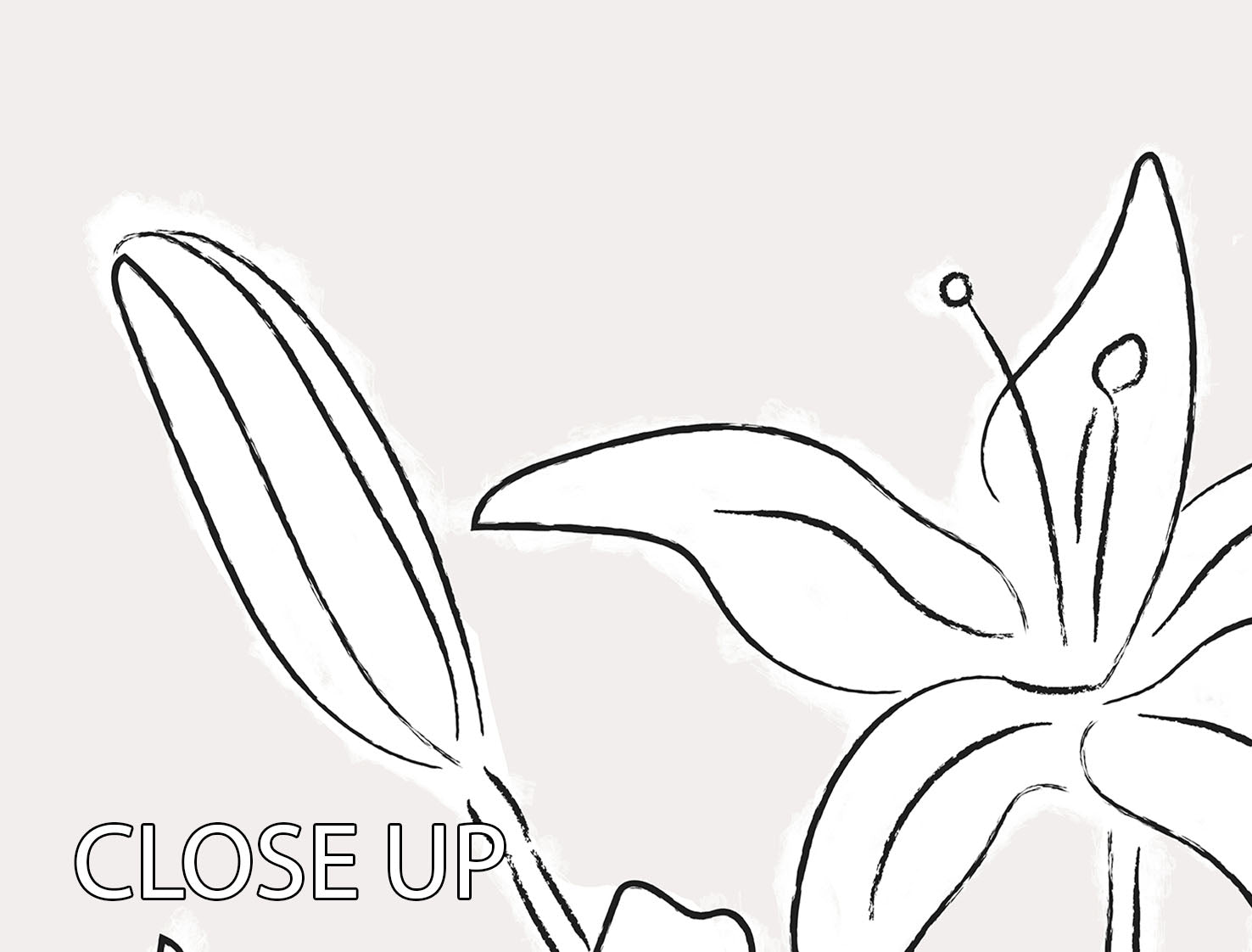 Lillies No 03 3 Split Panel Canvas Print featuring vibrant floral design across three panels.