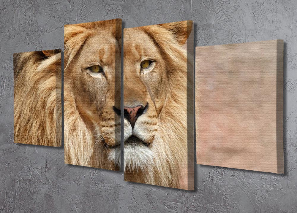 Lion 4 Split Panel Canvas artwork featuring a majestic lion, divided into four panels for a dynamic display.