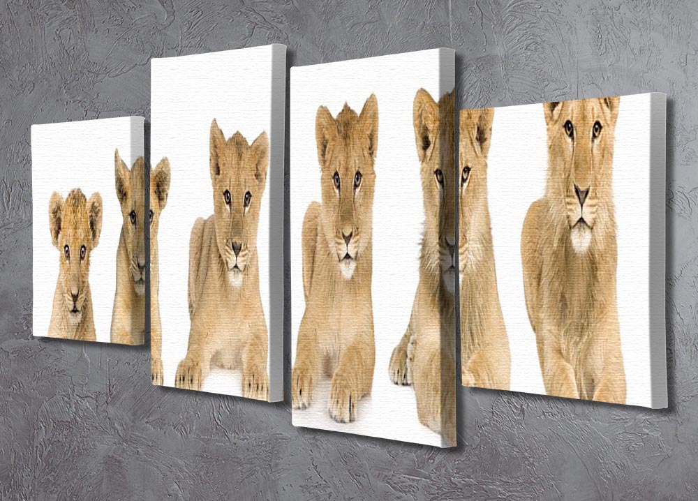 A vibrant 4-split canvas artwork featuring a growing lion cub, showcasing its playful spirit across four panels.