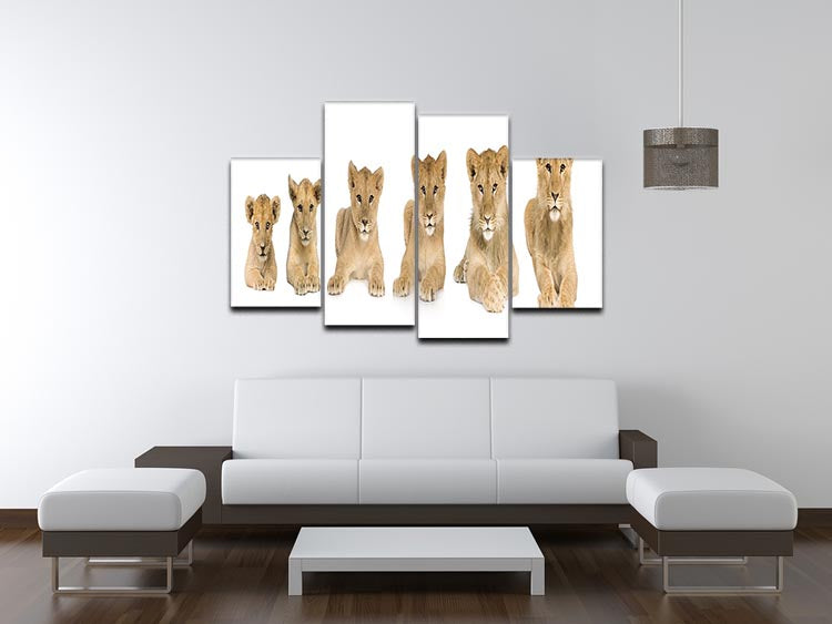 A vibrant 4-split canvas artwork featuring a growing lion cub, showcasing its playful spirit across four panels.