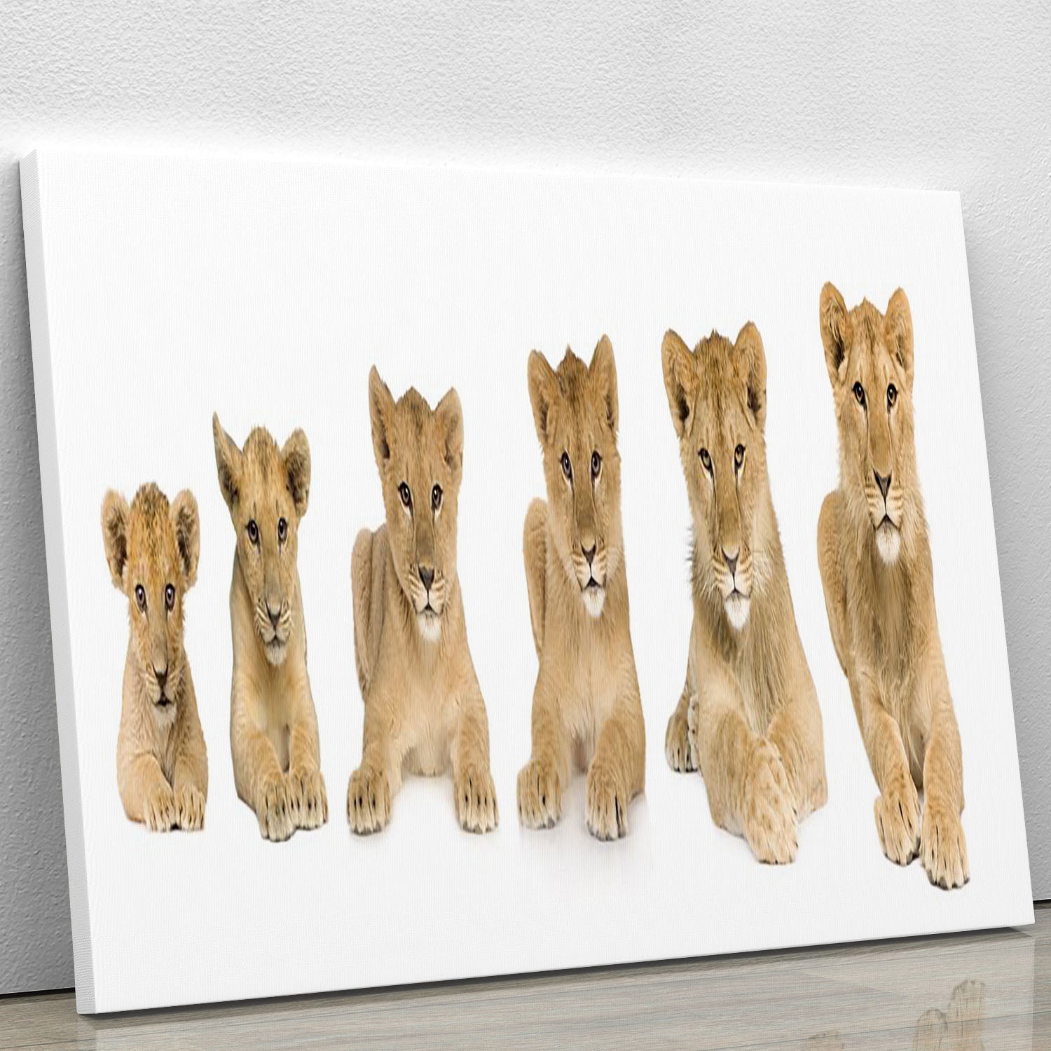 A vibrant canvas print featuring a growing lion cub, showcasing its playful nature and majestic beauty, perfect for home decor.