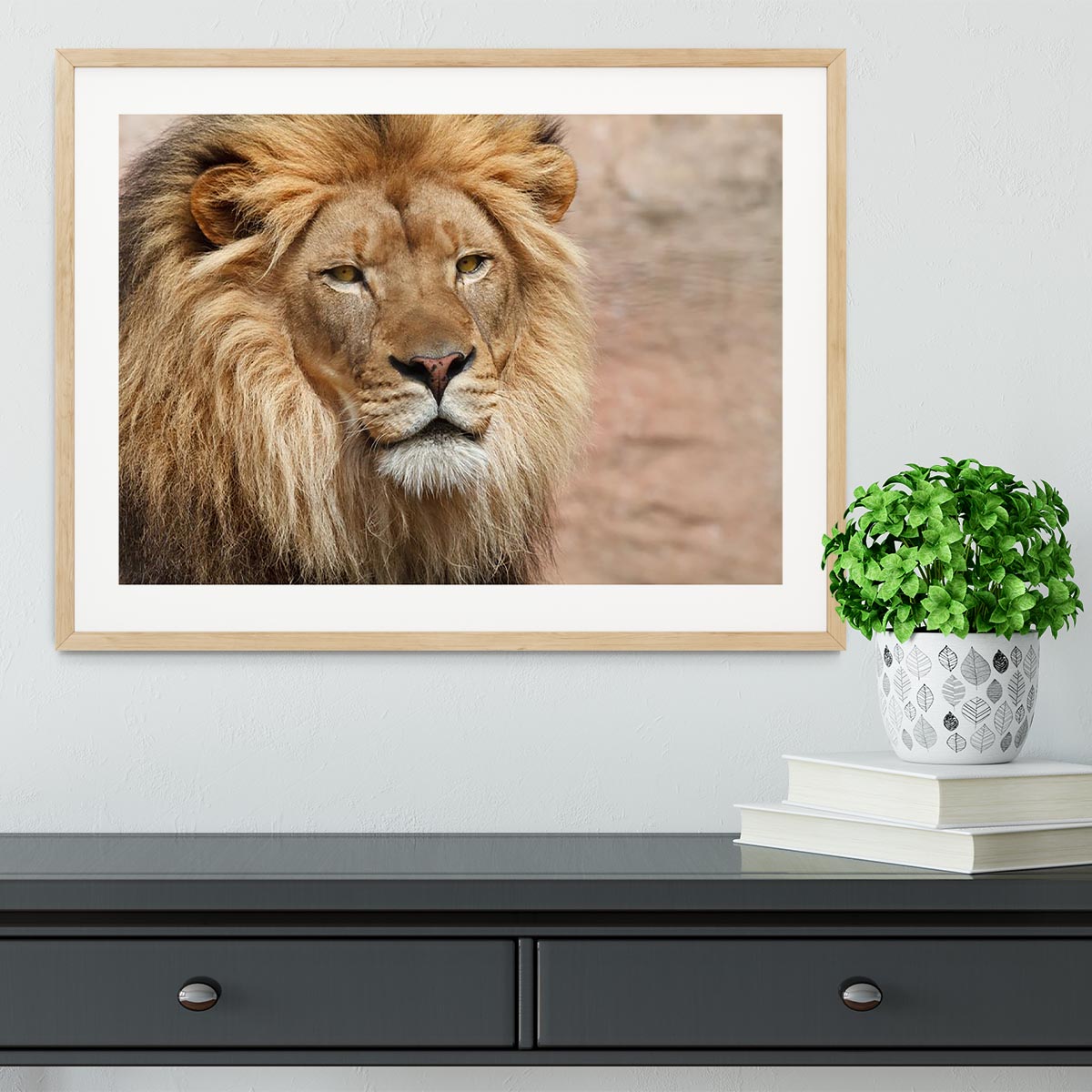 A beautifully framed print of a lion, showcasing vibrant colors and high-quality craftsmanship in a stylish frame.