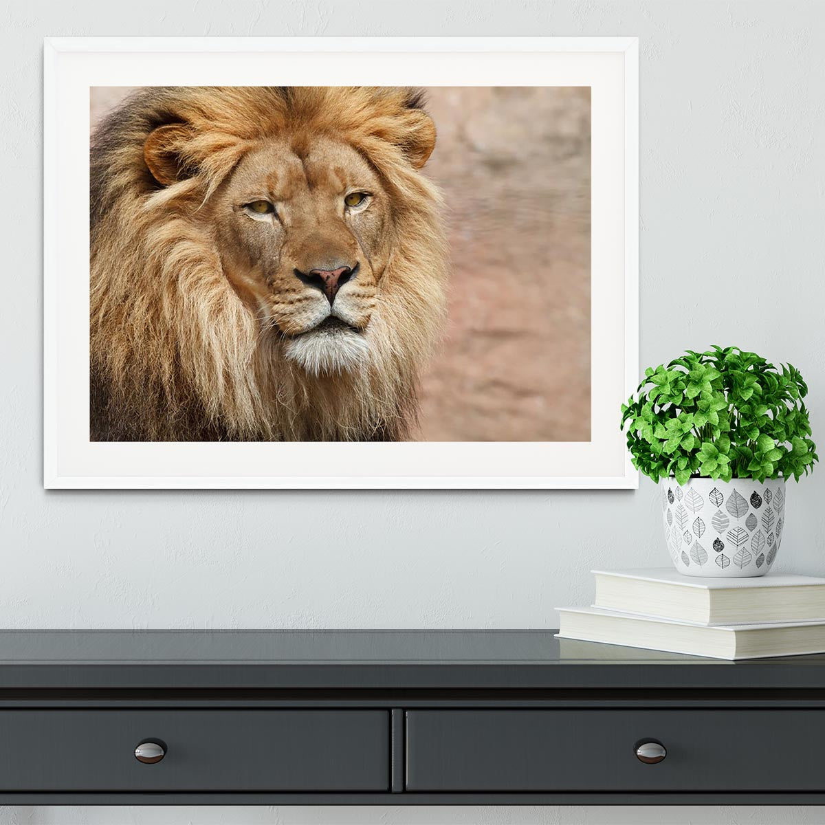 A beautifully framed print of a lion, showcasing vibrant colors and high-quality craftsmanship in a stylish frame.