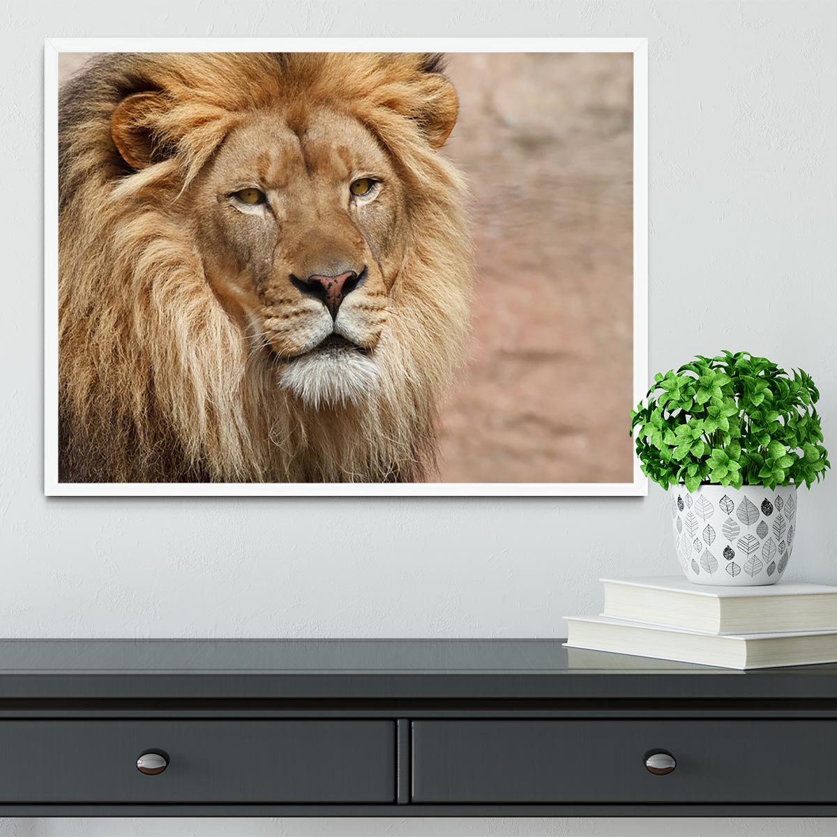 A beautifully framed print of a lion, showcasing vibrant colors and high-quality craftsmanship in a stylish frame.