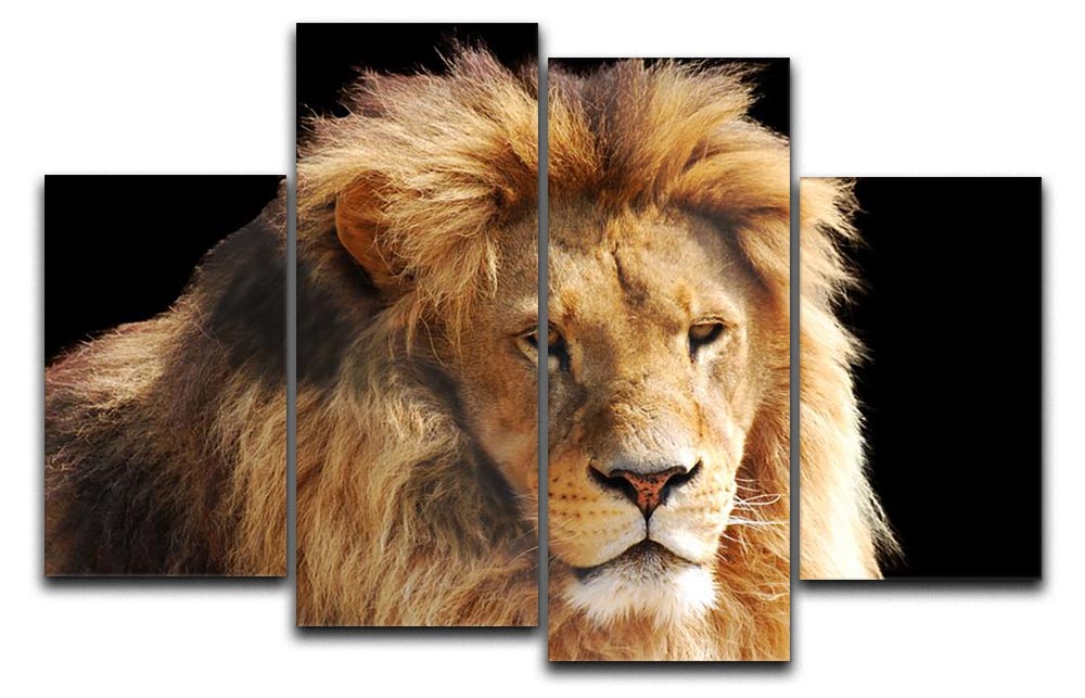 A stunning 4-split canvas artwork featuring a majestic lion head, showcasing vibrant colors and intricate details.