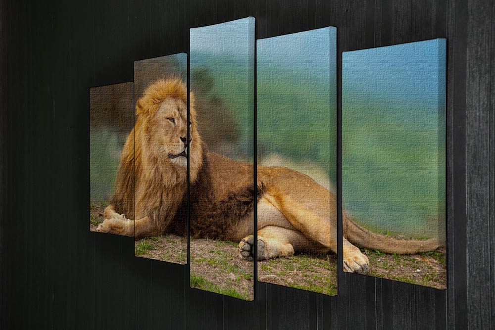 A stunning 5-split canvas artwork featuring a majestic male lion resting, showcasing vibrant colors and intricate details.