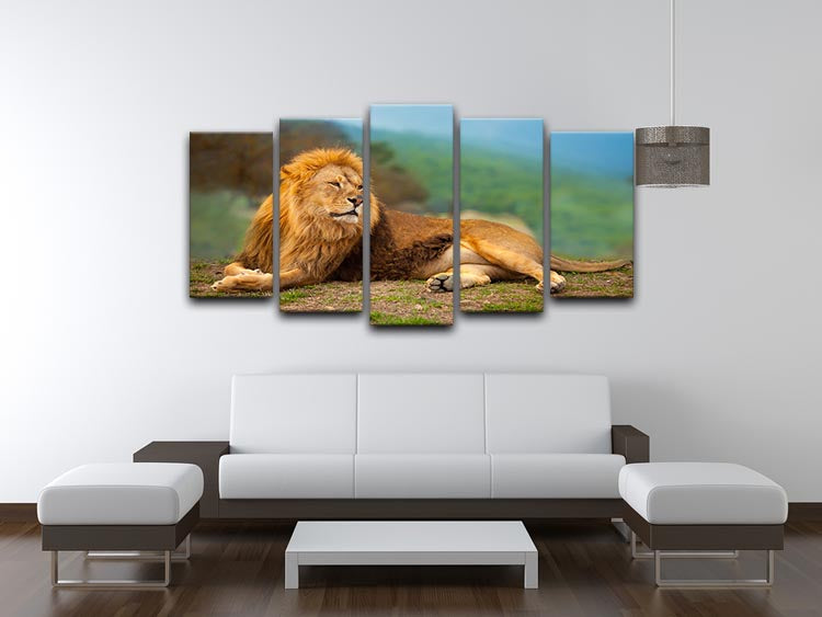 A stunning 5-split canvas artwork featuring a majestic male lion resting, showcasing vibrant colors and intricate details.