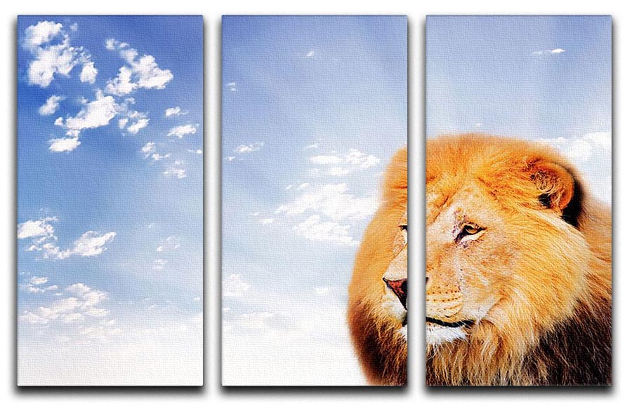 A stunning 3-panel canvas print featuring a majestic lion against a serene sky background, perfect for home decor.