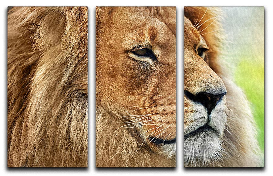 A stunning 3-panel canvas print featuring a majestic lion portrait set against a savanna backdrop, perfect for home decor.