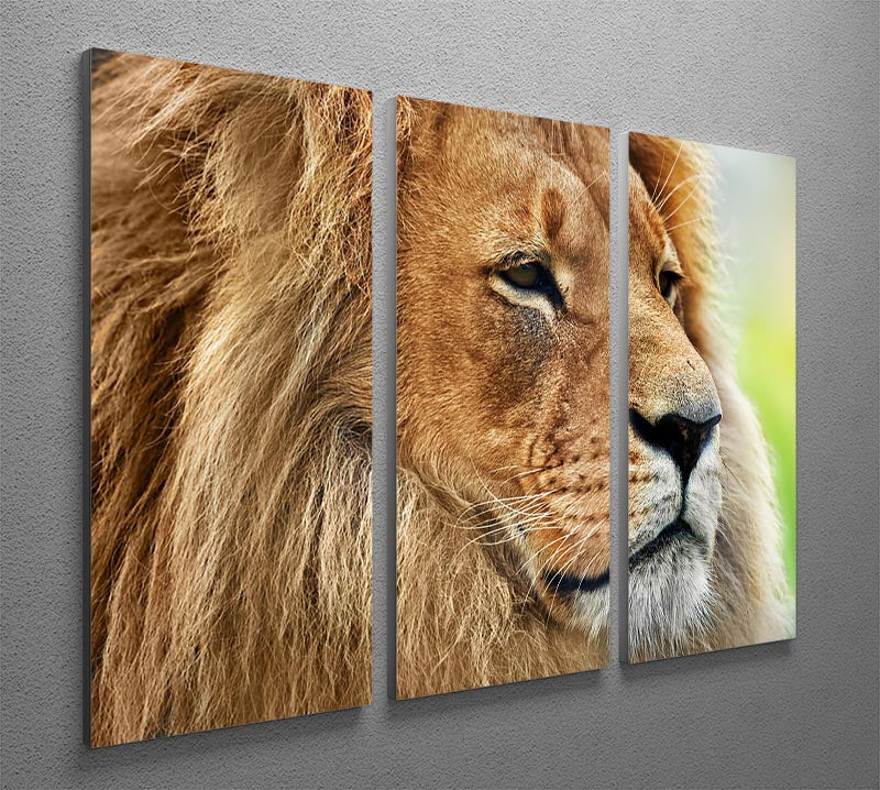 A stunning 3-panel canvas print featuring a majestic lion portrait set against a savanna backdrop, perfect for home decor.