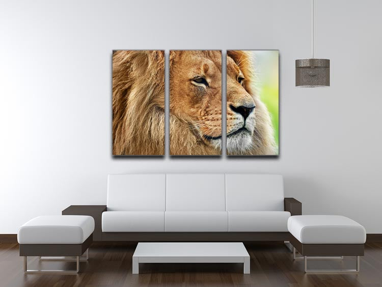 A stunning 3-panel canvas print featuring a majestic lion portrait set against a savanna backdrop, perfect for home decor.