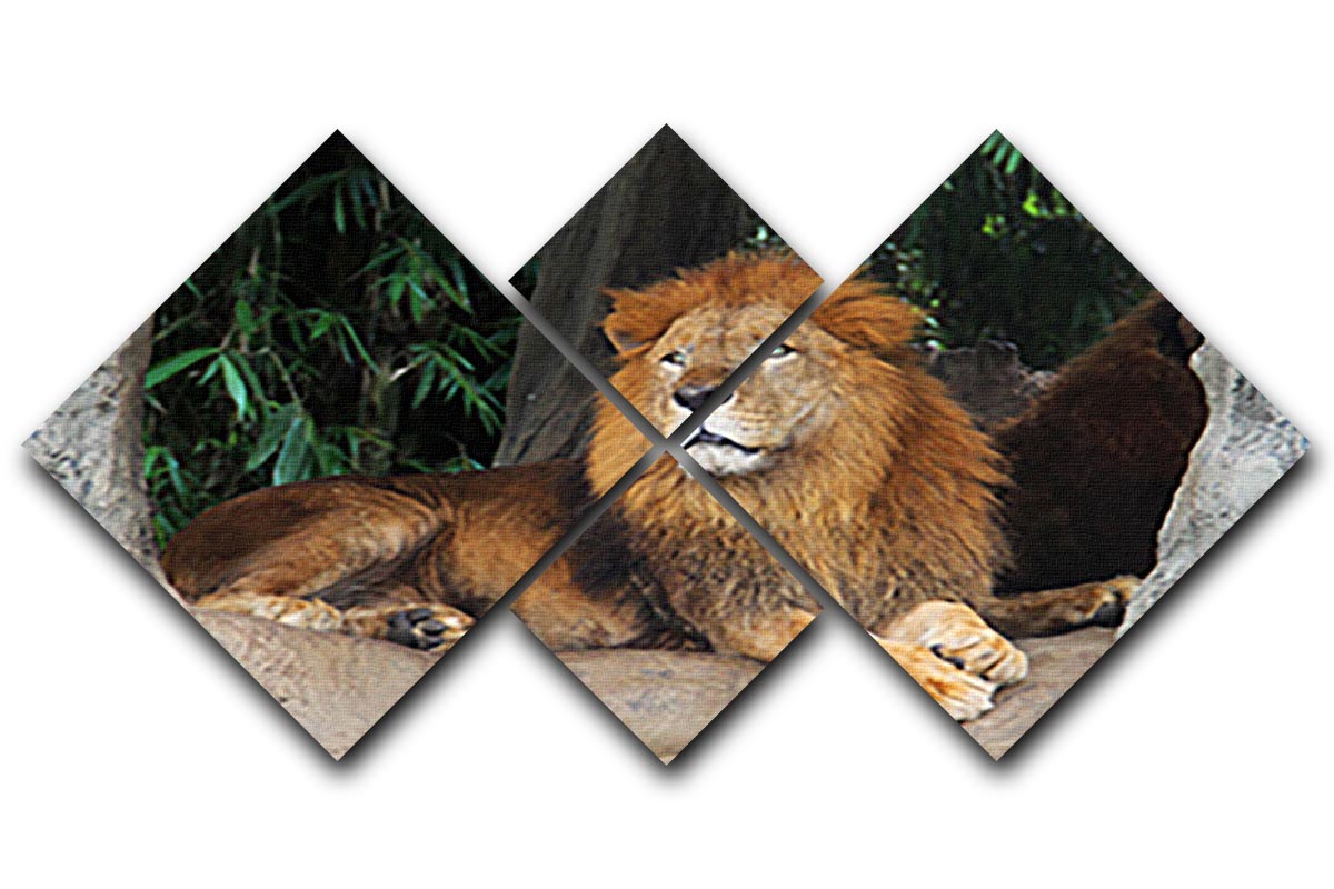 A beautiful multi-panel canvas artwork featuring a lion resting on a tree, divided into four equal square sections.