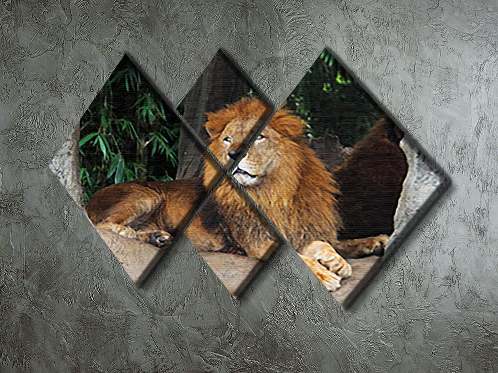 A beautiful multi-panel canvas artwork featuring a lion resting on a tree, divided into four equal square sections.