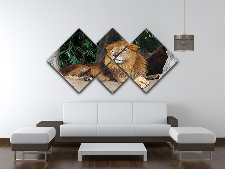 A beautiful multi-panel canvas artwork featuring a lion resting on a tree, divided into four equal square sections.