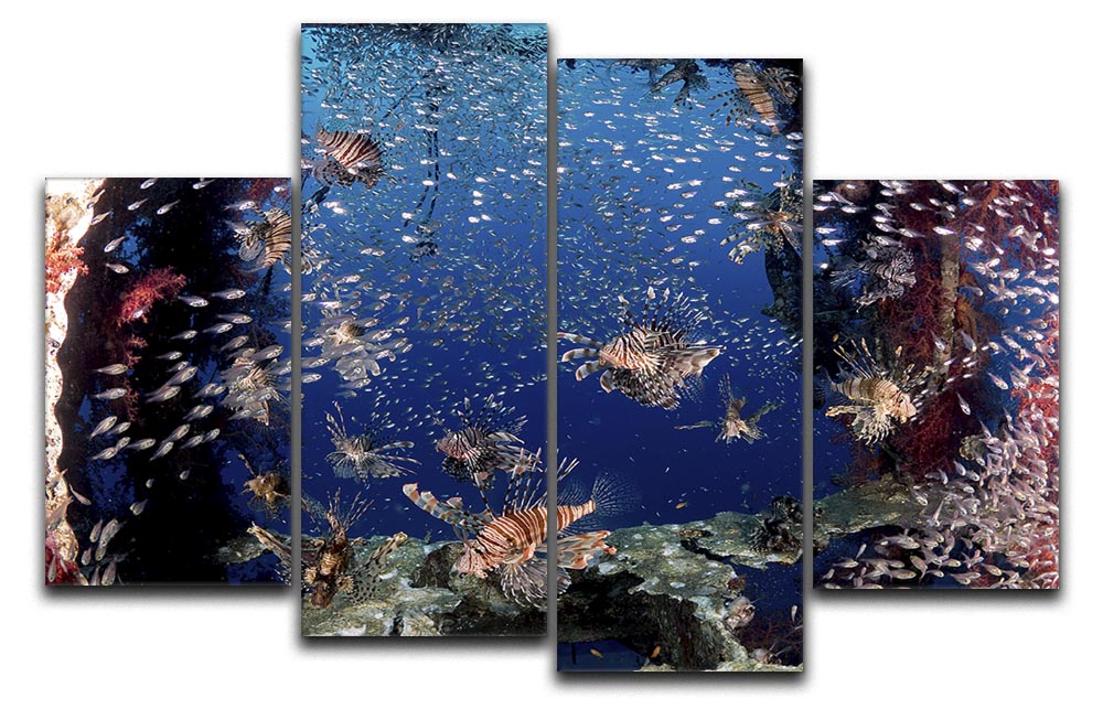 Lionfish Party 4 Split Panel Canvas artwork featuring vibrant colors and dynamic design, divided into four equal sections.