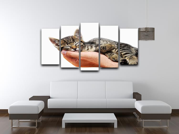 A charming 5-split canvas artwork depicting a baby cat sleeping peacefully in the arms of a male figure, showcasing warmth and comfort.