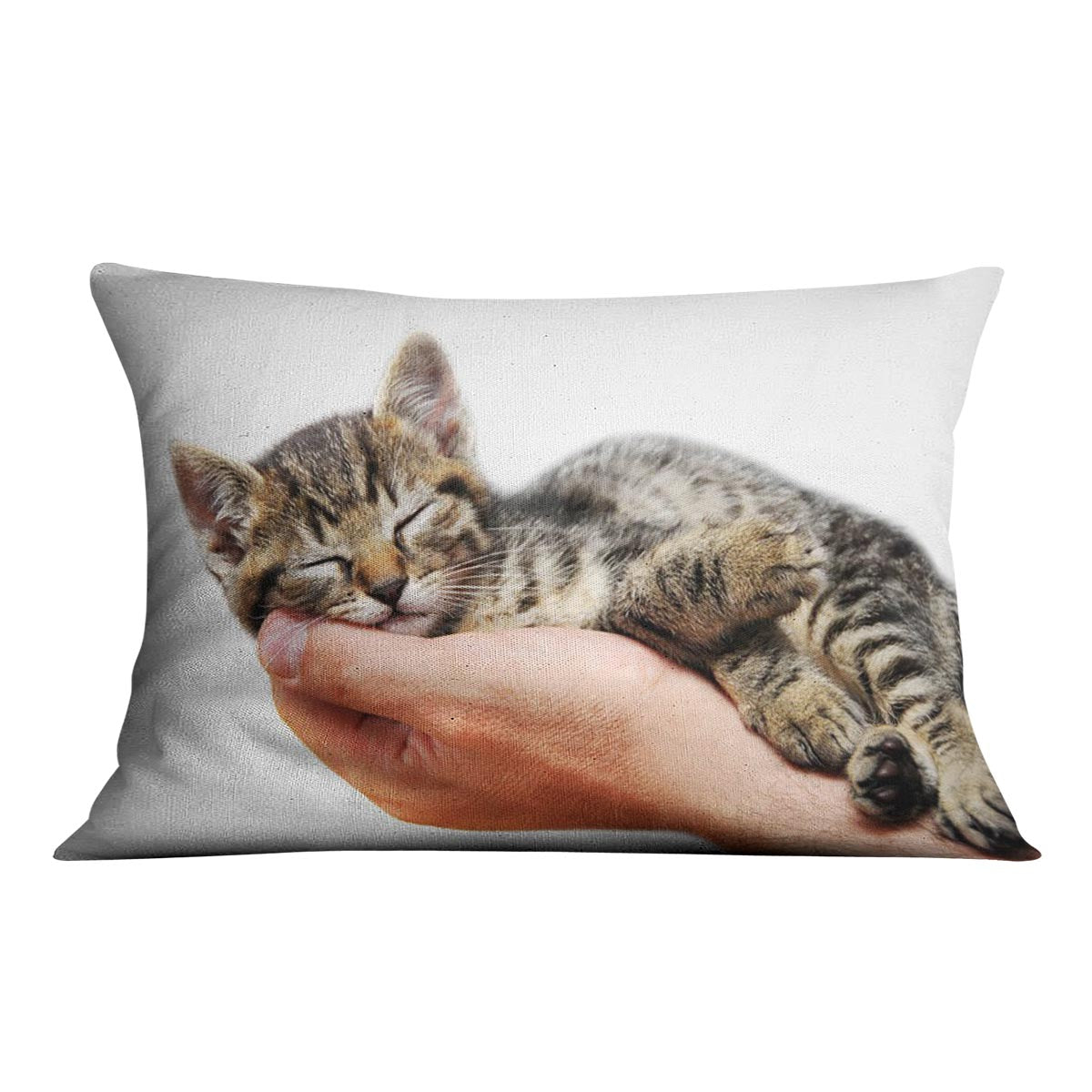 A vibrant cushion featuring a sleeping baby cat in a male's arms, made from luxurious vegan faux suede.