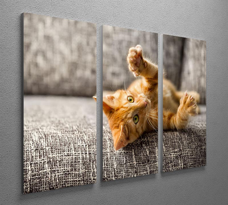A charming 3-panel canvas print featuring a little cat playing on a bed, showcasing vibrant colors and intricate details.