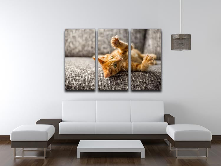 A charming 3-panel canvas print featuring a little cat playing on a bed, showcasing vibrant colors and intricate details.