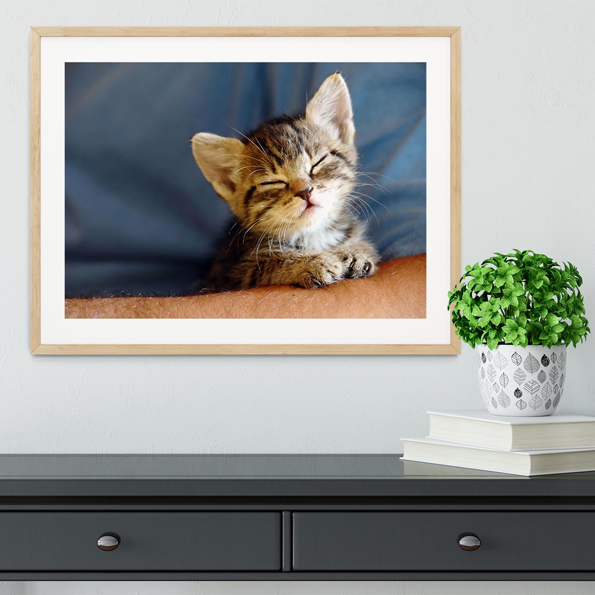 Closeup of a little cat sleeping on a human hand, framed beautifully, showcasing the intricate details and serene expression.