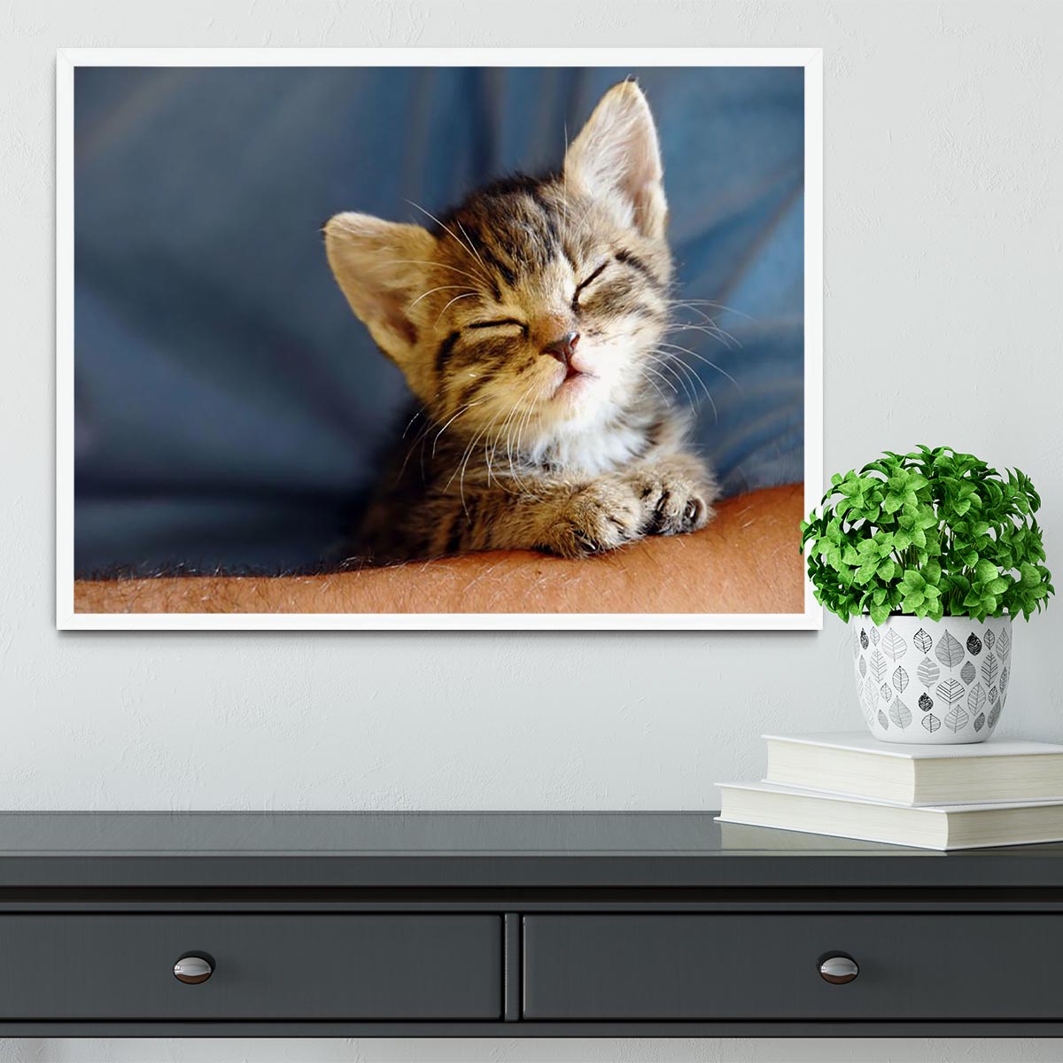 Closeup of a little cat sleeping on a human hand, framed beautifully, showcasing the intricate details and serene expression.