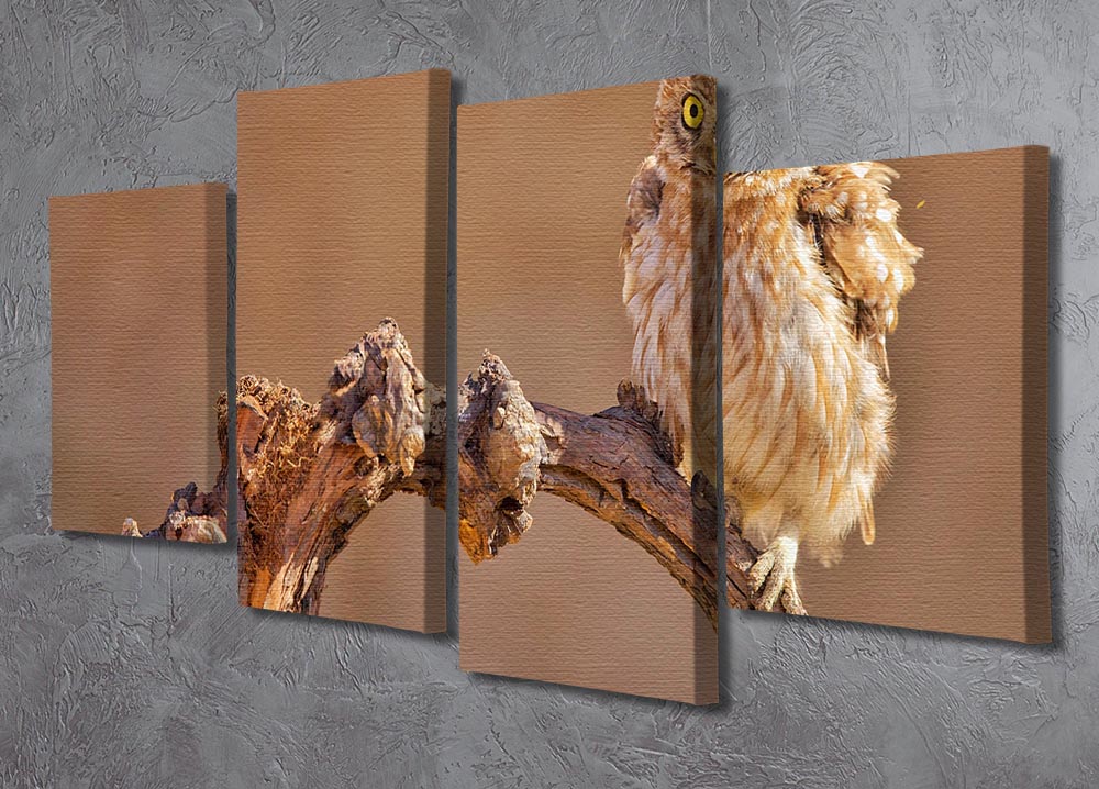 A beautiful 4-split canvas artwork featuring a little owl perched on a branch, showcasing vibrant colors and intricate details.