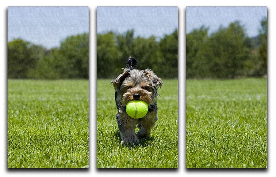 A charming 3-panel canvas print featuring a little puppy joyfully running with a ball, perfect for home decor.
