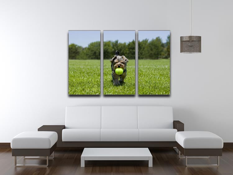 A charming 3-panel canvas print featuring a little puppy joyfully running with a ball, perfect for home decor.