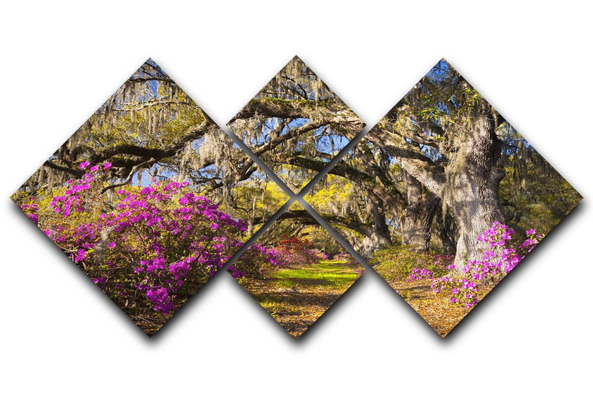 A beautiful multi-panel canvas artwork featuring live oak trees illuminated by morning sunlight, divided into four equal square sections.