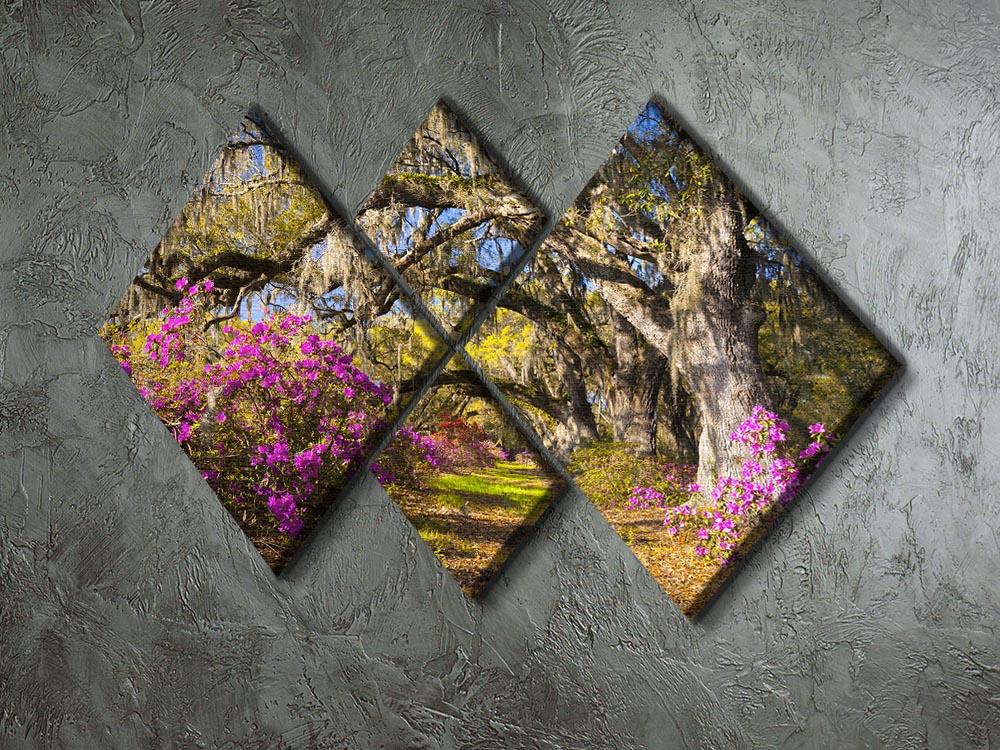 A beautiful multi-panel canvas artwork featuring live oak trees illuminated by morning sunlight, divided into four equal square sections.