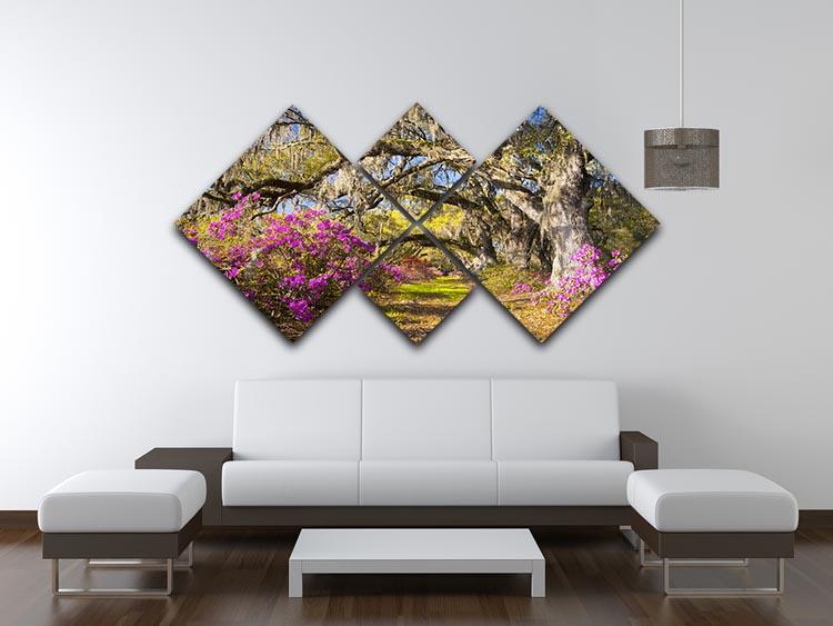 A beautiful multi-panel canvas artwork featuring live oak trees illuminated by morning sunlight, divided into four equal square sections.