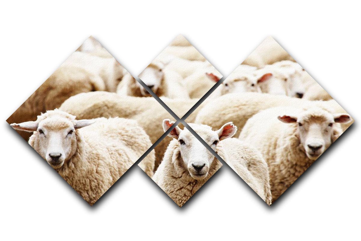A beautiful 4-square multi panel canvas featuring a herd of sheep in a pastoral setting, showcasing vibrant colors and detailed artwork.