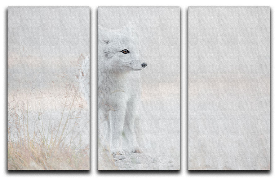 A stunning 3-panel canvas print featuring a cohesive and captivating design, perfect for enhancing any living space.