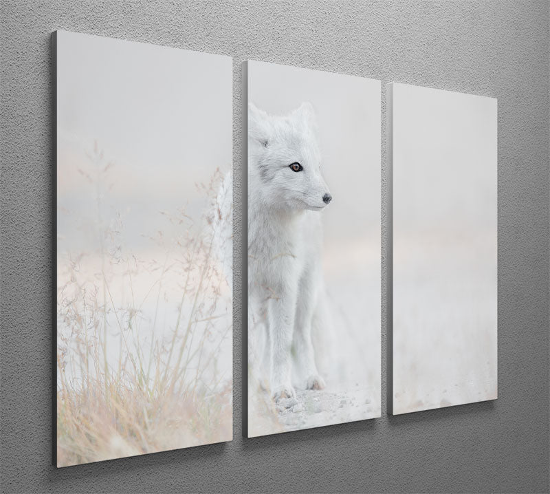 A stunning 3-panel canvas print featuring a cohesive and captivating design, perfect for enhancing any living space.