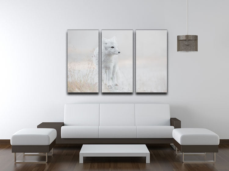 A stunning 3-panel canvas print featuring a cohesive and captivating design, perfect for enhancing any living space.