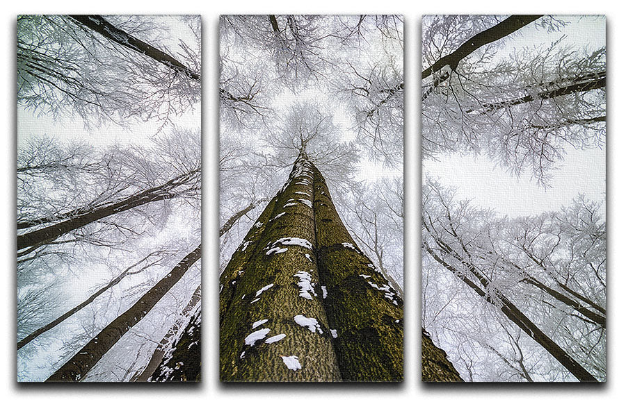 A stunning 3 split panel canvas print featuring vibrant colors and captivating designs, perfect for enhancing any living space.