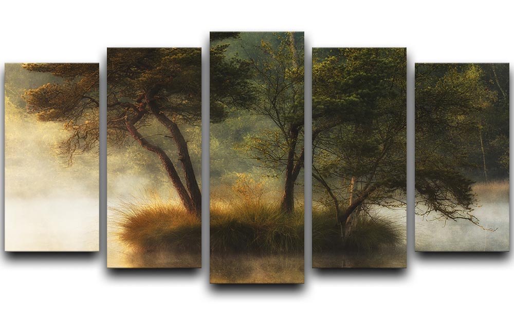 Lonely Island 5 Split Panel Canvas artwork featuring vibrant colors and dynamic design across five panels.
