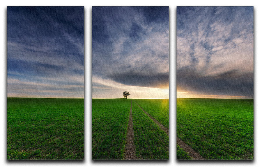 Loner In The Sun 3 Split Panel Canvas Print showcasing vibrant colors and modern design, perfect for enhancing any room's decor.