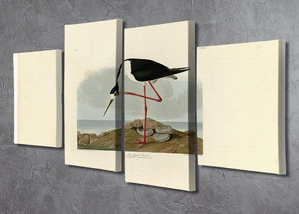 A beautiful 4-split canvas artwork featuring the Long Legged Avocet bird, showcasing vibrant colors and intricate details across four panels.