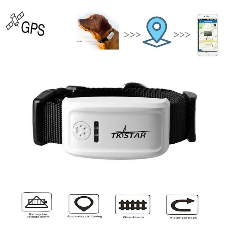 Long Standby Time TK909 GPS Tracker for pets, featuring a compact design and LED indicators for status monitoring.