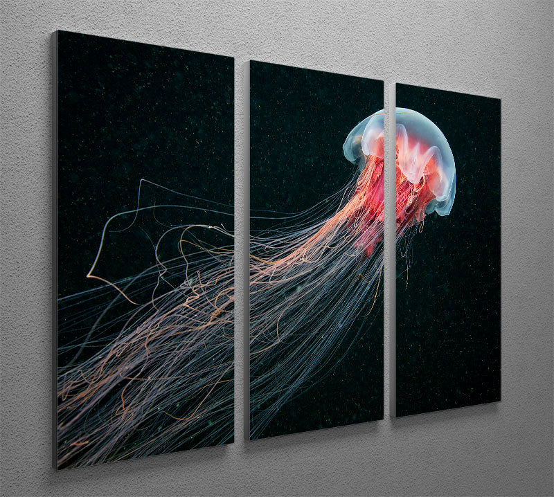 Longtail 3 Split Panel Canvas Print featuring vibrant colors and intricate designs, perfect for home or office decor.