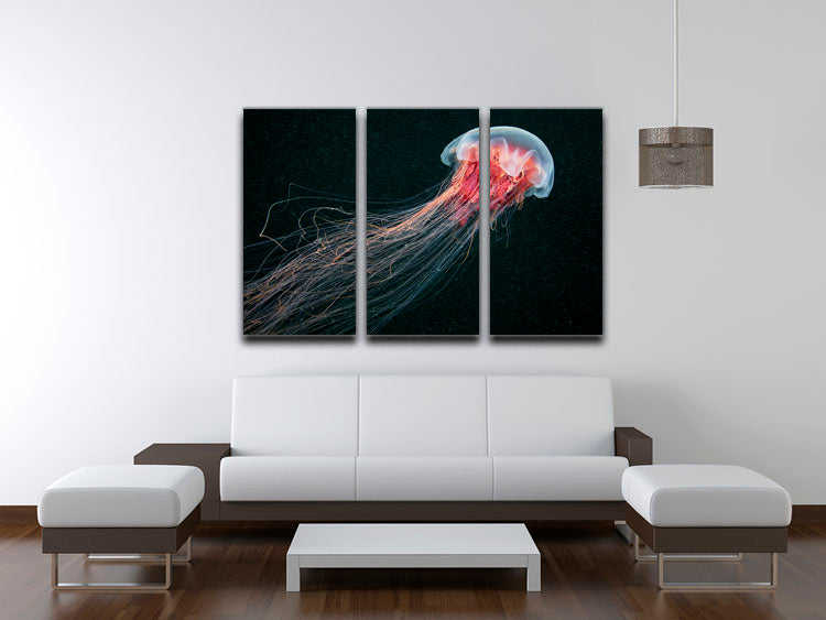 Longtail 3 Split Panel Canvas Print featuring vibrant colors and intricate designs, perfect for home or office decor.