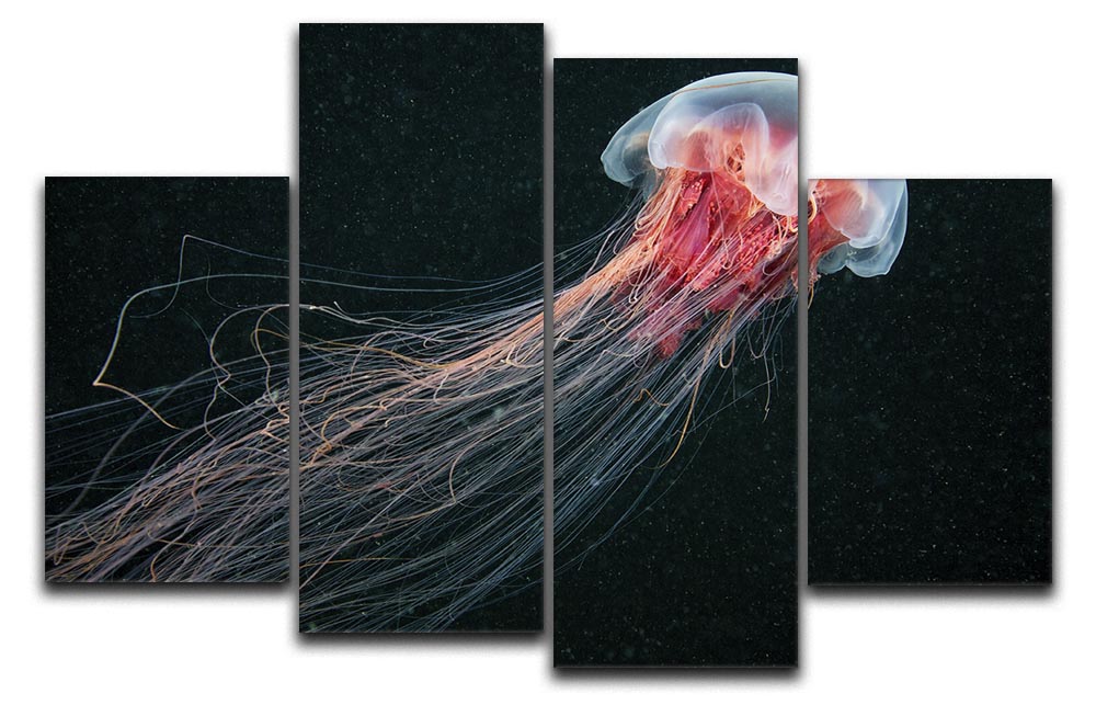 Longtail 4 Split Panel Canvas artwork featuring a dynamic design divided into four equal sections, showcasing vibrant colors and intricate details.