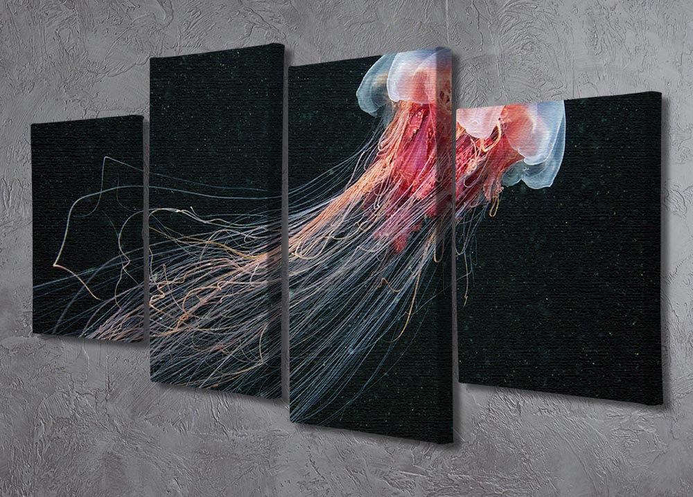 Longtail 4 Split Panel Canvas artwork featuring a dynamic design divided into four equal sections, showcasing vibrant colors and intricate details.