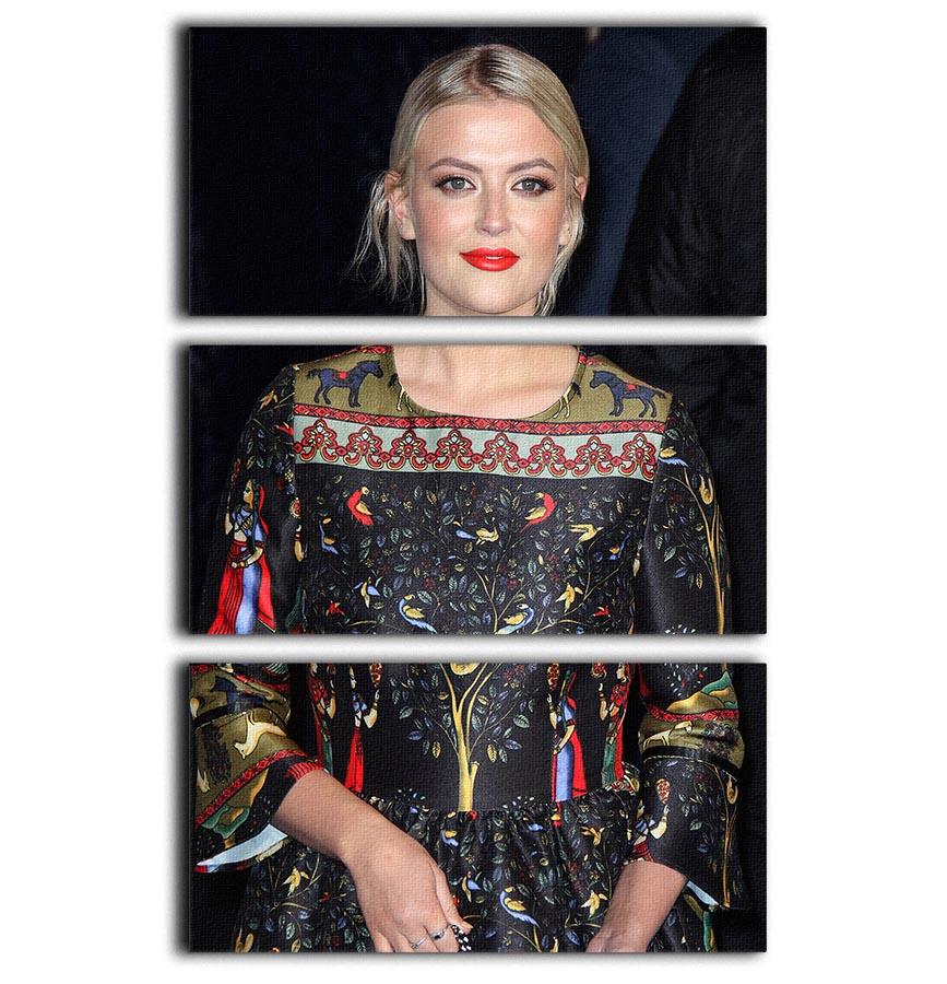 Lucy Fallon 3 Split Panel Canvas Print featuring three high-quality canvases with a cohesive design, perfect for enhancing any room's decor.